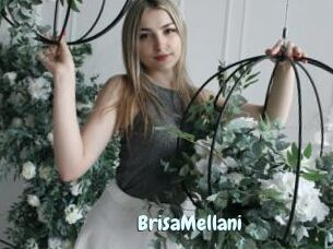 BrisaMellani