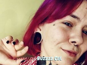 Buzzzz_Cat