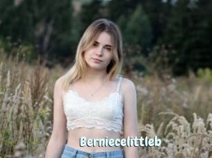 Berniecelittleb