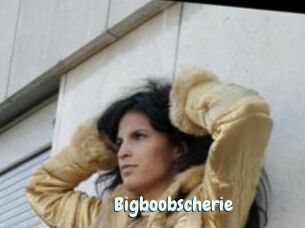 Bigboobscherie