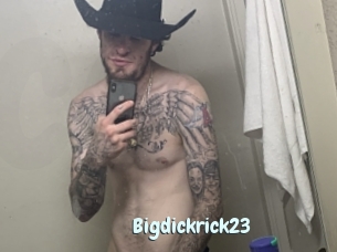 Bigdickrick23