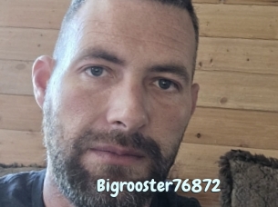 Bigrooster76872