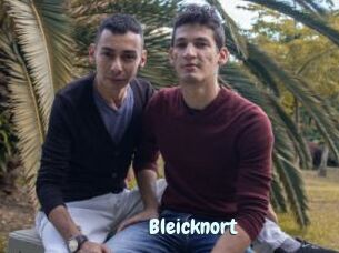 Bleicknort