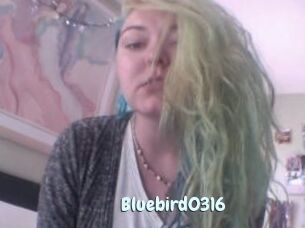 Bluebird0316