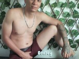 Bodsey