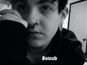 Boicub