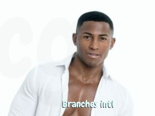 Branches_intl