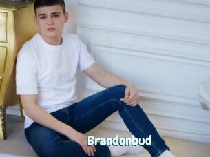 Brandonbud