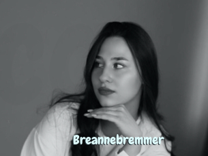 Breannebremmer