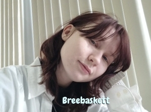 Breebaskett