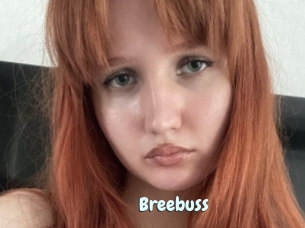 Breebuss