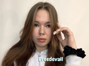 Breedevall