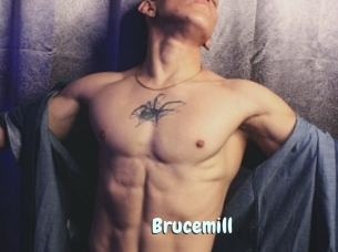 Brucemill
