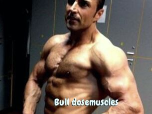 Bull_dosemuscles