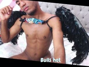 Bulls_hot