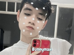 Bunnymaxi