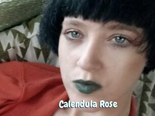 Calendula_Rose
