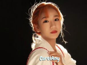 CarelAny