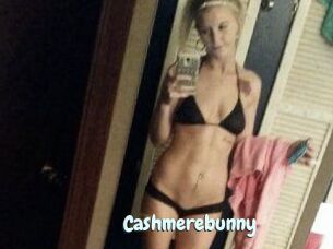 Cashmerebunny