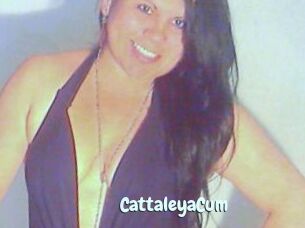 CattaleyaCum