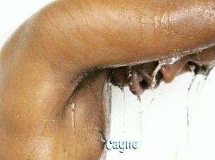 Cayne