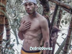 CedricGovea