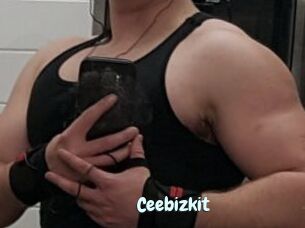 Ceebizkit