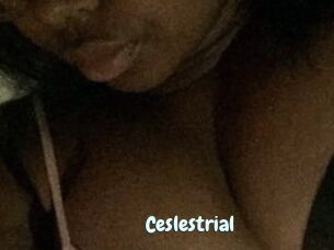 Ceslestrial