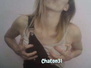 Chaton31