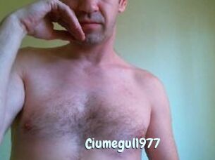 Ciumegul1977