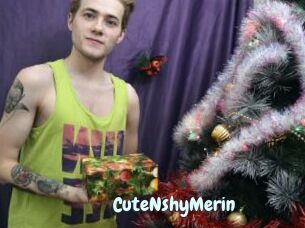 CuteNshyMerin