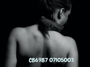 C86987-07105003