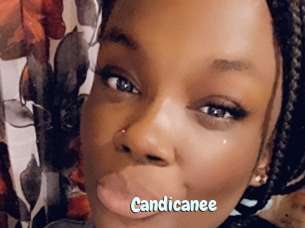 Candicanee
