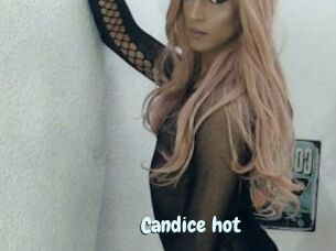 Candice_hot