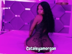 Cataleyamorgan