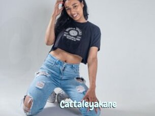 Cattaleyakane