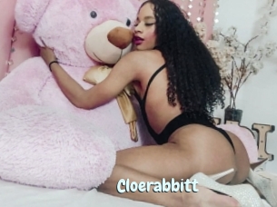 Cloerabbitt