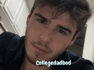 Collegedadbod