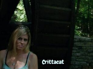 Crittacat