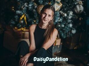 DaisyDandelion