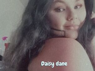 Daisy_dane
