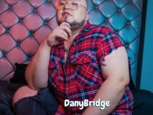 DanyBridge