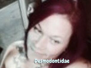Desmodontidae