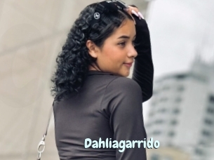 Dahliagarrido