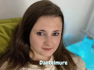 Dantelmure