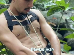 Davesulivan