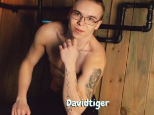 Davidtiger