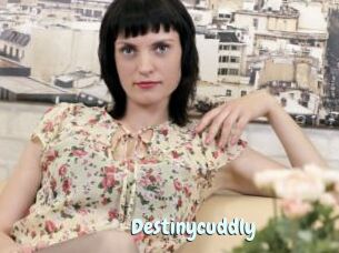 Destinycuddly