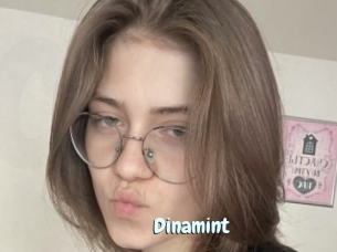 Dinamint