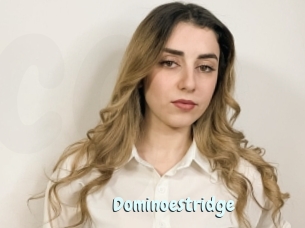 Dominoestridge
